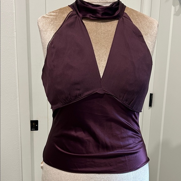 The Limited Tops - The Limited 💯% Silk Halter Top With Choker Sash Neck Tie |Size Medium